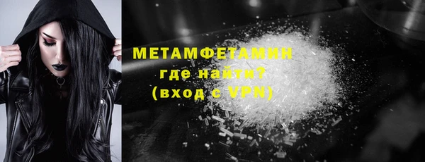 прущие грибы Волоколамск