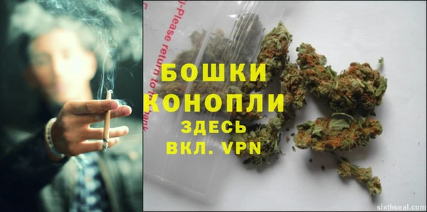 прущие грибы Волоколамск