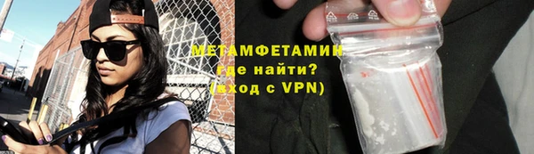 прущие грибы Волоколамск