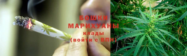 прущие грибы Волоколамск