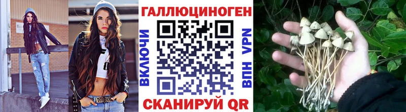 купить наркоту  Отрадное  OMG ссылки  Псилоцибиновые грибы Psilocybe 